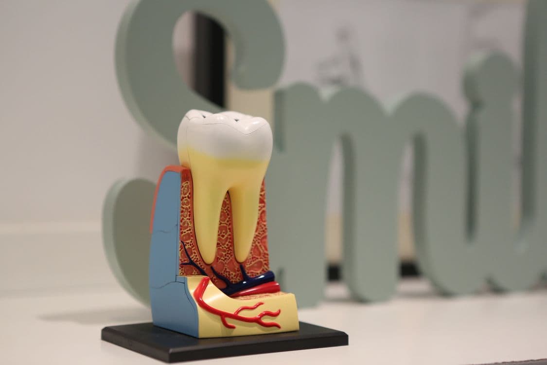 Root Canal Treatment in 2026: Why Modern Root Canals Are Painless and How They Save Your Teeth